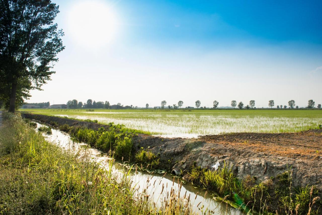 Agriturismo Lecolombare Nogarole Rocca Ngoại thất bức ảnh